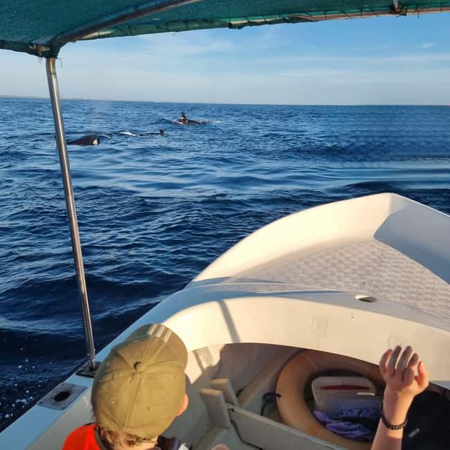 image n.13 of Trincomalee: Whales & Dolphin Watching Tours activity in Nilaveli, uploaded by supplier