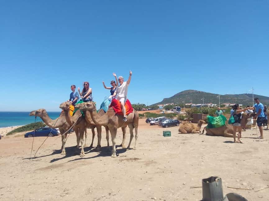 imagen n.º 31 de Desde Tánger: Excursión de día completo a Tánger, Asilah y Cabo Espartel actividad en Tánger, subida por el proveedor