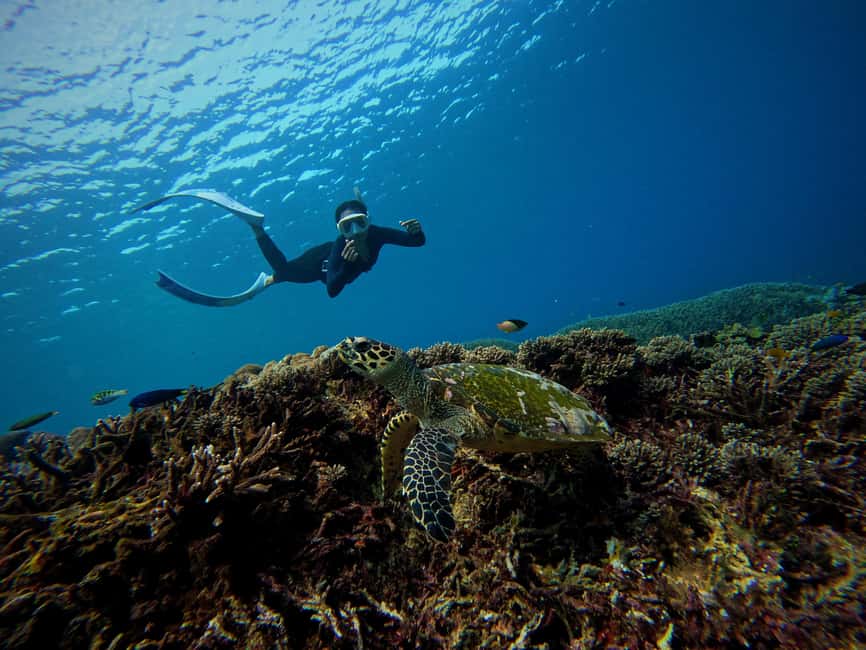 image n.5 of From Bali: 3 Snorkeling Spots Tour to Lembongan and Penida activity in Denpasar, uploaded by supplier