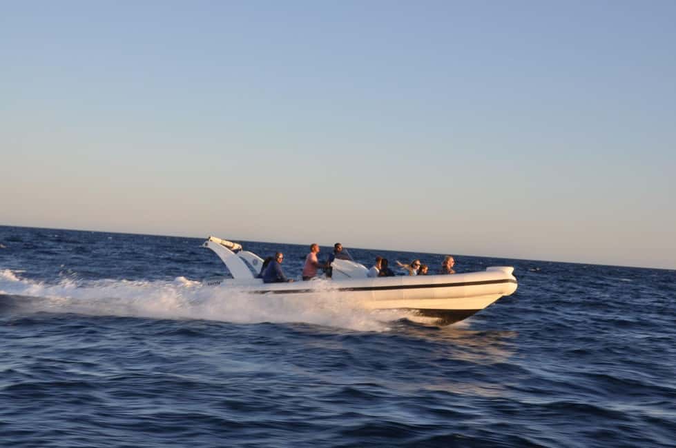 image n.45 of Hurghada: Speedboat Dolphin Watching & Snorkeling with Lunch activity in Red Sea Governorate, uploaded by supplier