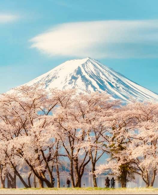 image n.9 of Mt.Fuji Private tour from Tokyo/Yokoham (Customizable) activity in Hakone, uploaded by supplier