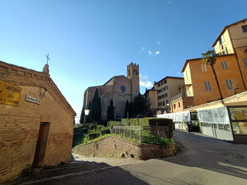 imagen n.º 15 de Degustación de vino y helado de Siena actividad en Siena, subida por el proveedor