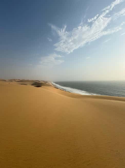 image n.42 of Walvisbay: Sandwich Harbour 4x4 Tour-Unparalleled Experience activity in Erongo, uploaded by supplier