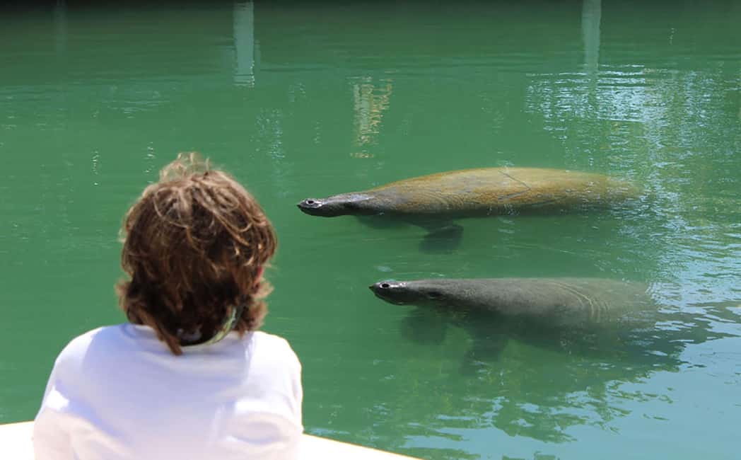 imagen n.º 9 de Eco-Tour Privado de 2 Horas actividad en Islamorada, subida por el proveedor