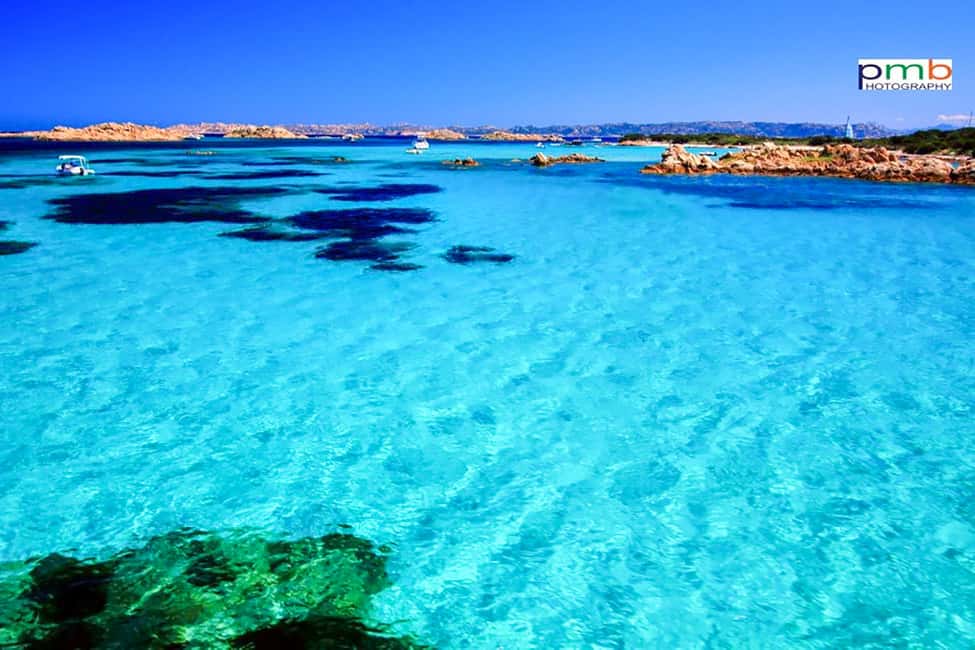Immagine nº 5 di Da Palau: Tour di un giorno dell'Arcipelago di La Maddalena in barca attività a Sardegna, caricata dal fornitore