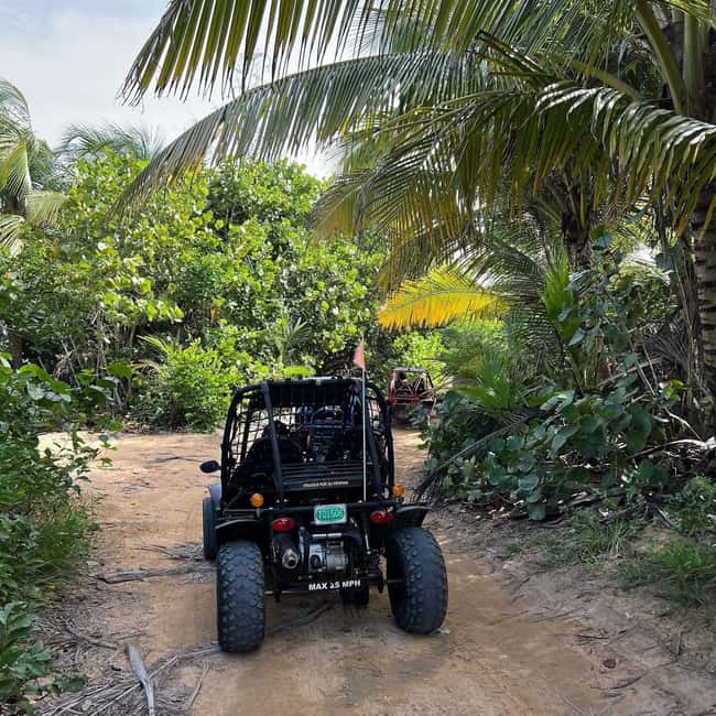 image n.9 of San Juan: El Yunque Waterfalls & Scenic Beach Buggy activity in Río Grande, Puerto Rico, uploaded by supplier