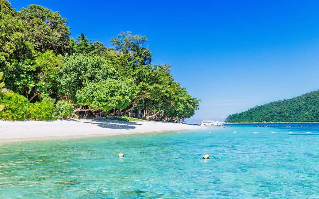 image n.4 of Full-Day Koh Lipe 5 points Snorkeling (East Zone) with Lunch activity in Ko Lipe, uploaded by supplier