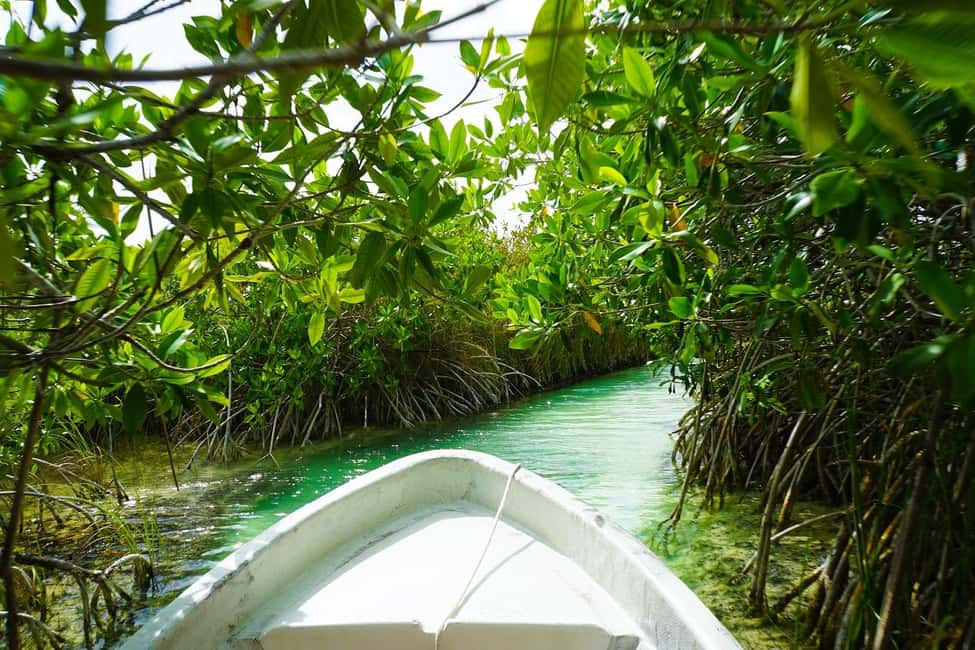 afbeelding n.8 van Tulum: SIAN KAAN biosfeer rondvaart, dolfijnen, snorkelen activiteit in Coba Stad, geüpload door aanbieder