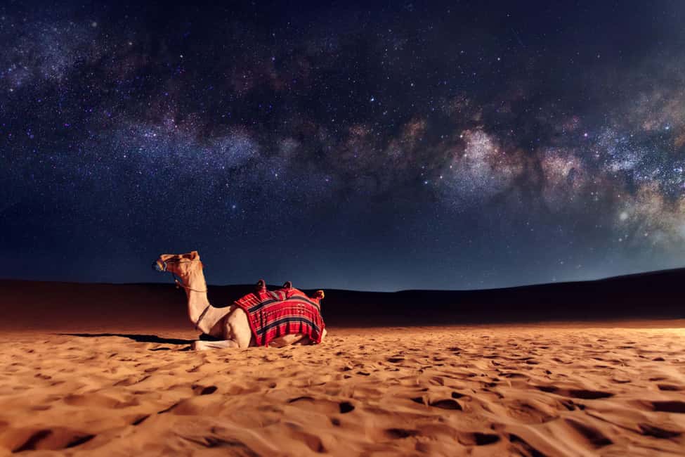 サプライヤーによってアップロードされた、ドバイのドバイ：夕方の砂漠サファリとラクダ乗り&星空観察の画像#4