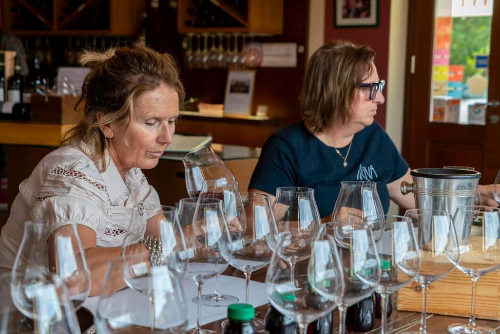 billede nr.3 af aktiviteten BAROLO: GUIDET OPLYSNING TIL VINKÆLDEREN OG VINSMAGNING MED PRODUCENTEN i Barolo, uploadet af udbyder