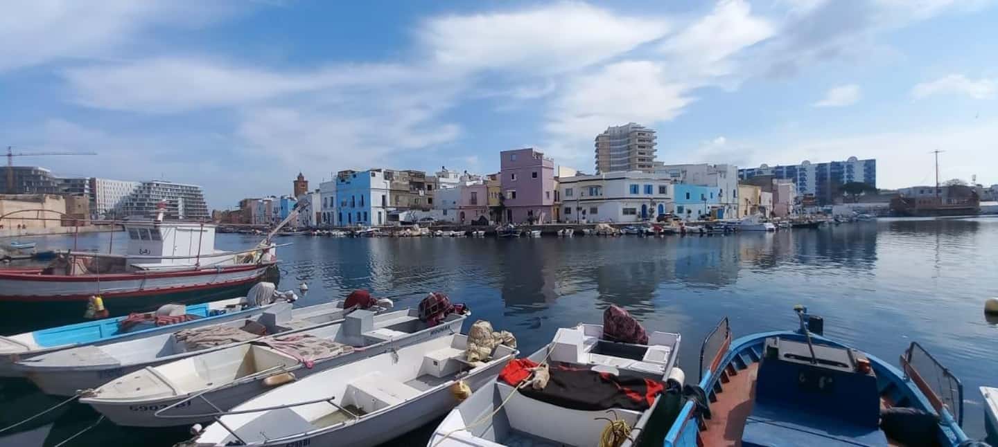 image n.29 of North Africa Tour : Utica-Bizerte-Ichkeul Park(UNESCO) activity in Kairouan, uploaded by supplier