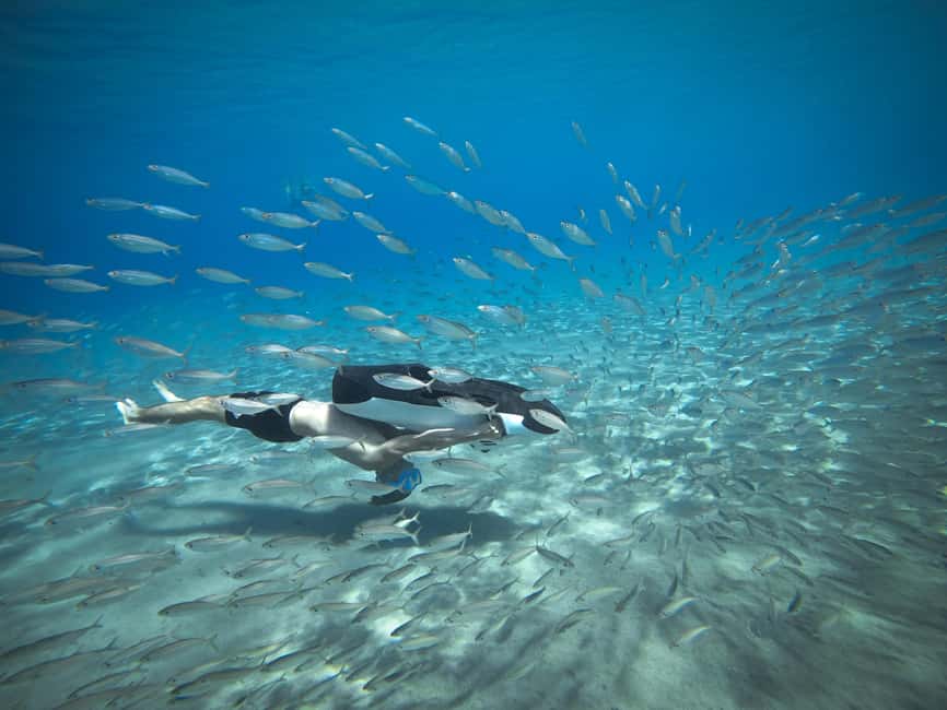 afbeelding n.9 van Curaçao: Playa Piskado Seabob Avontuur (Zeeschildpadden) activiteit in Curaçao, geüpload door aanbieder