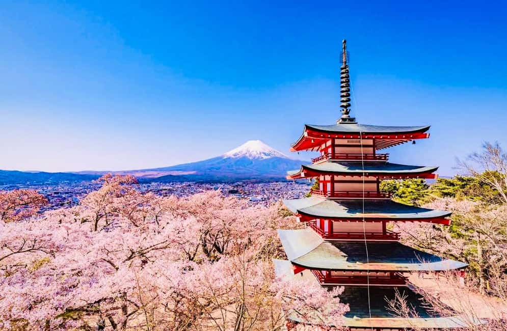 image n.14 of Mt.Fuji Private tour from Tokyo/Yokoham (Customizable) activity in Hakone, uploaded by supplier