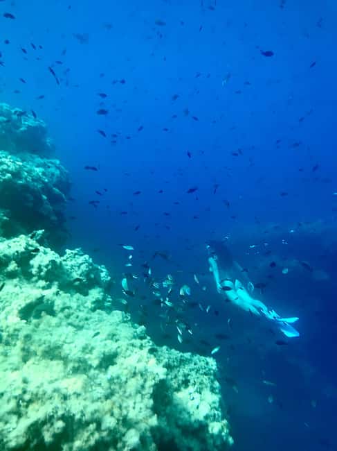image n.10 of Cala Codolar: Sea & Caves Kayaking Tour with Snorkeling activity in Balearic Islands, uploaded by supplier