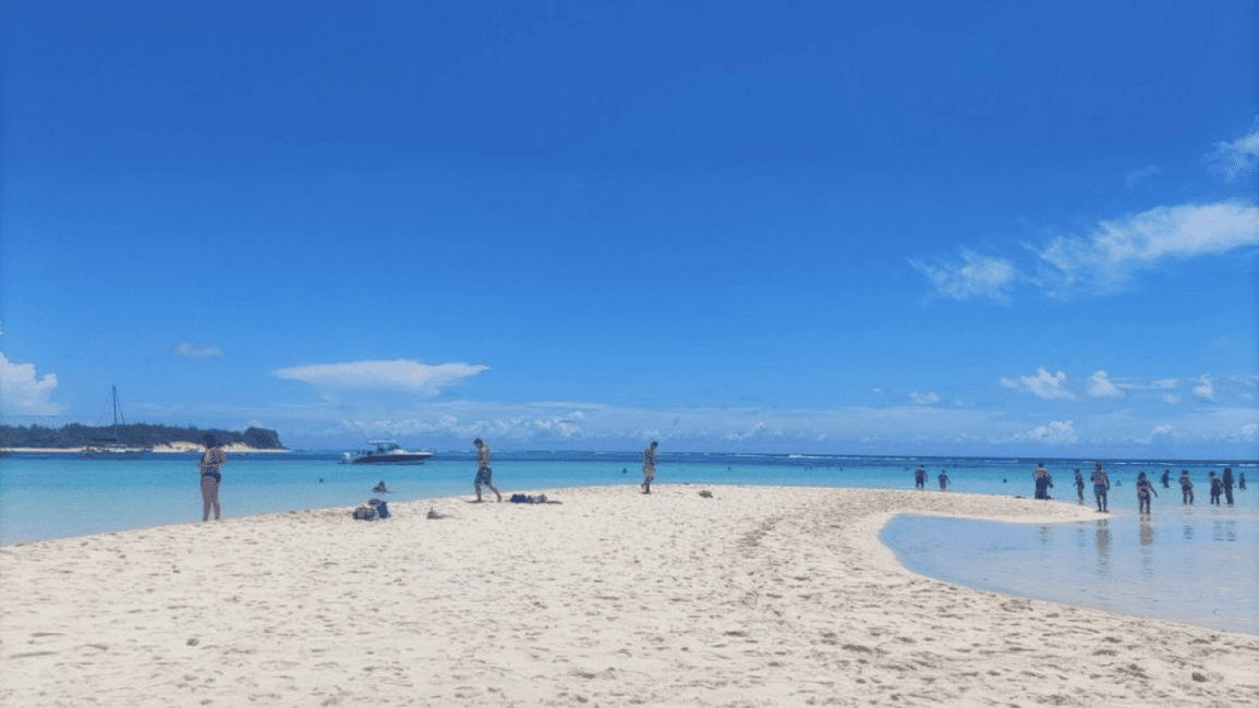 image n.6 of 3 Islands Private Speedboat w/ Lunch & Snorkeling Sea Turtle activity in Mauritius, uploaded by supplier