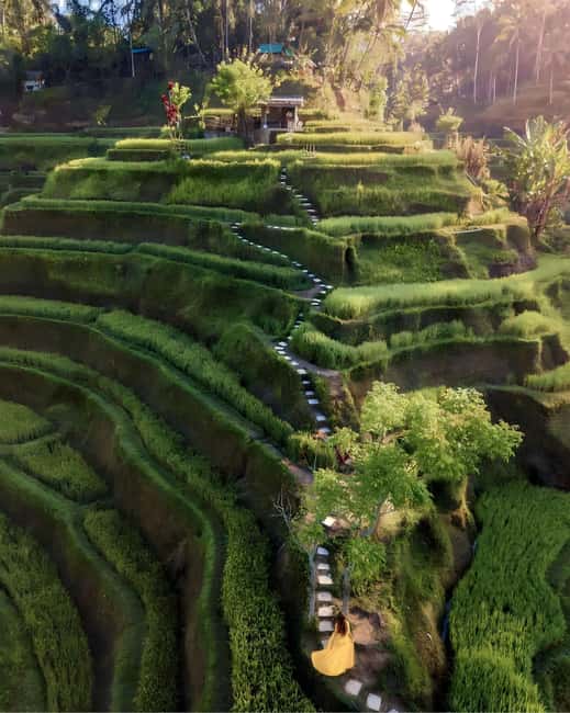image n.6 of Ubud: Private Hidden Waterfalls and Rice Terrace Tour activity in Bali, uploaded by supplier