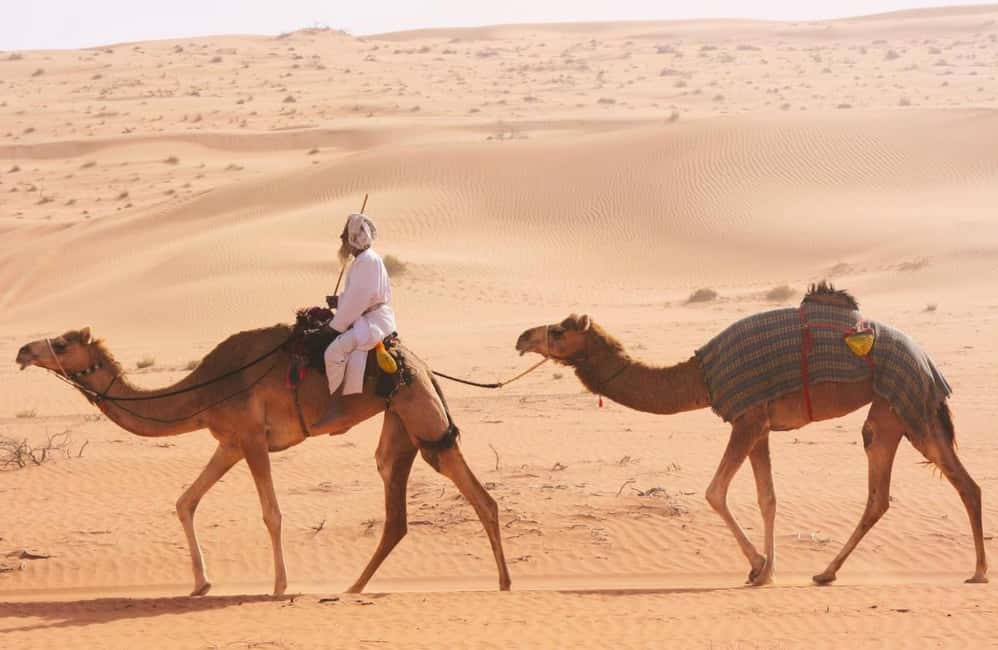 Immagine nº 28 di Avventura nel deserto di Wahiba , Nuoto nel Wadi Bani Khalid attività a Regione al-Sharqiyya, caricata dal fornitore