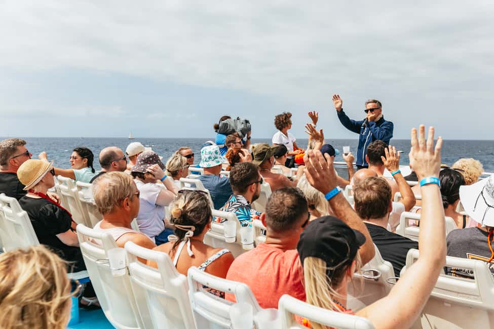 billede nr.9 af aktiviteten Adeje: Hval- og delfinsafari med frokost og svømmetur i Costa Adeje, uploadet af udbyder