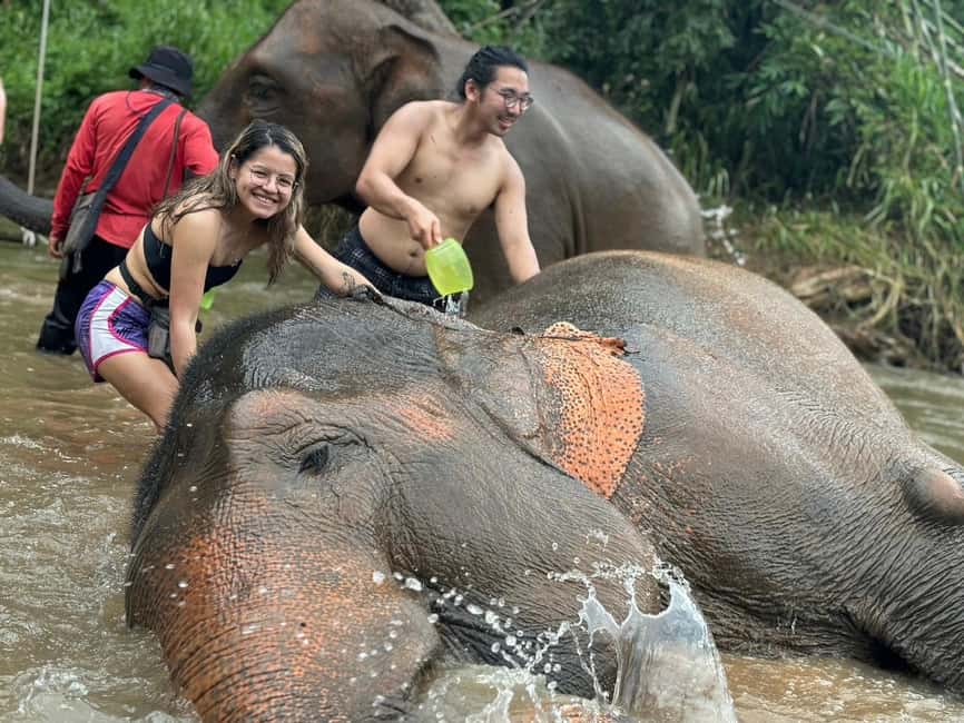 image n.39 of Chiang Mai: Elephant Sanctuary, Waterfall & Bamboo Rafting activity in Chiang Mai, uploaded by supplier