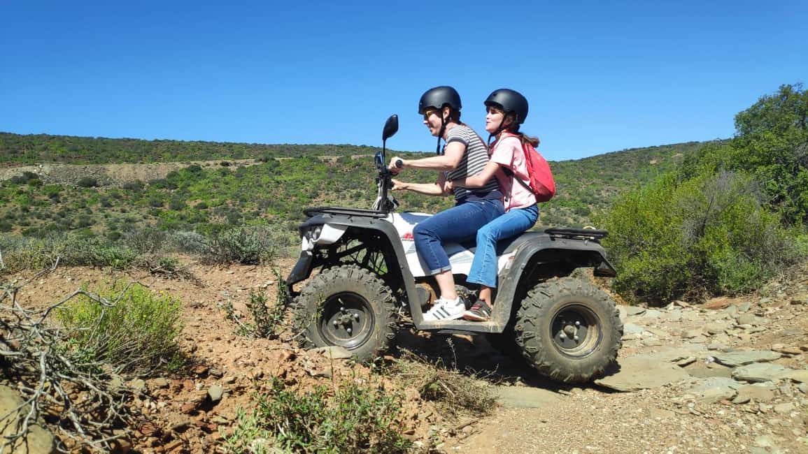 imagen n.º 8 de Agadir: Quad en quad y cabras en los árboles de argán con té actividad en Agadir, subida por el proveedor