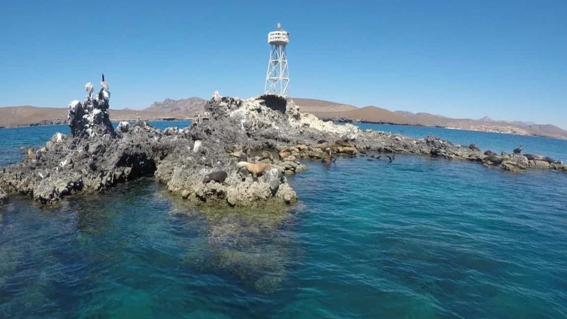 image n.7 of La Paz: Day Cruise & Snorkelling (w/sea lions) Food & Drinks activity in Baja California Sur, uploaded by supplier