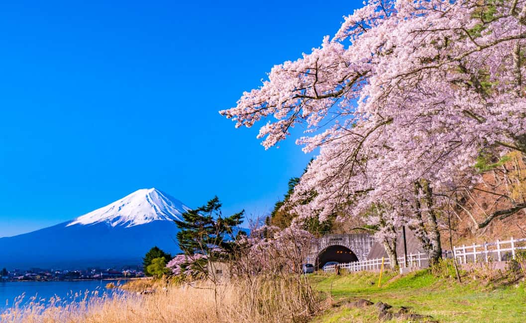 obrázek č.21 aktivity Z Tokia: Mount Fuji Highlight Photo Spots Celodenní výlet do Tokia v destinaci Fujinomiya, nahraný poskytovatelem aktivity