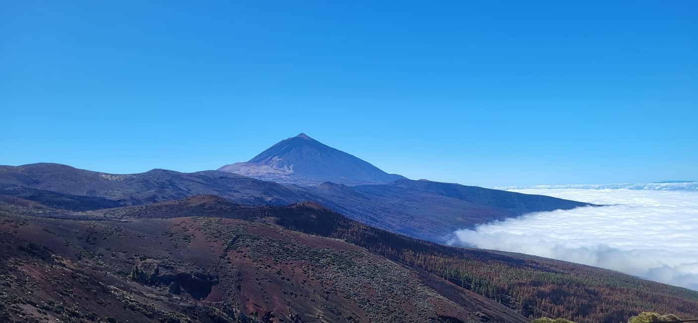 billede nr.5 af aktiviteten Teide National Park and Vilaflor; local wine tasting i Kanarieøerne, uploadet af udbyder