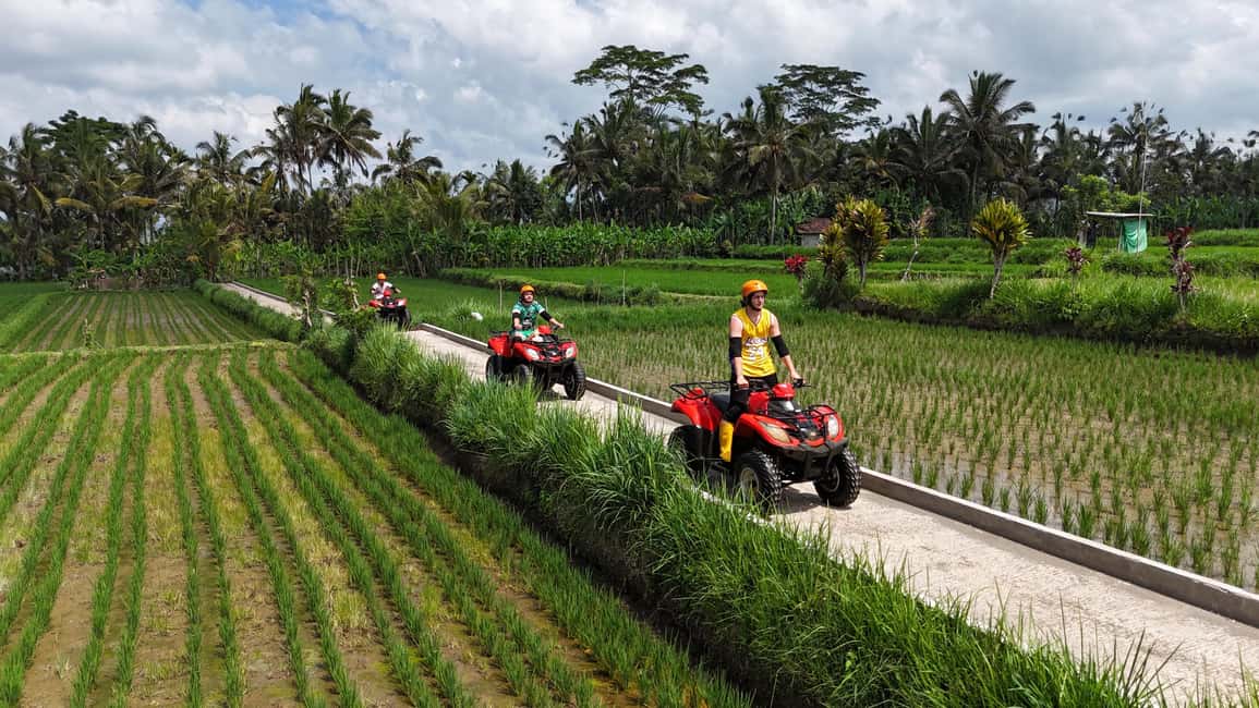 Obraz nr 5 z atrakcji Ubud: Wycieczka z przewodnikiem po quadach ATV w Ubud, przesłany przez organizatora