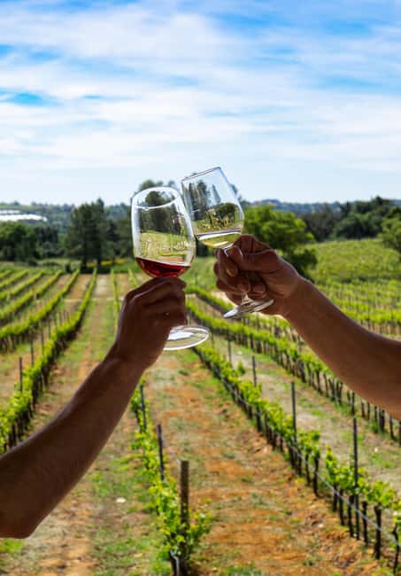 image n.10 of From Albufeira: Full-Day Wine Tasting Tour with a Guide activity in Monchique, uploaded by supplier