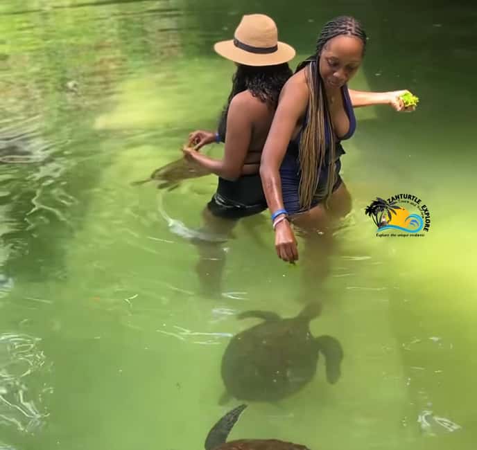 image n.23 of Nungwi: Swimming with Turtles at The Lagoons Zanzibar activity in Zanzibar City, uploaded by supplier