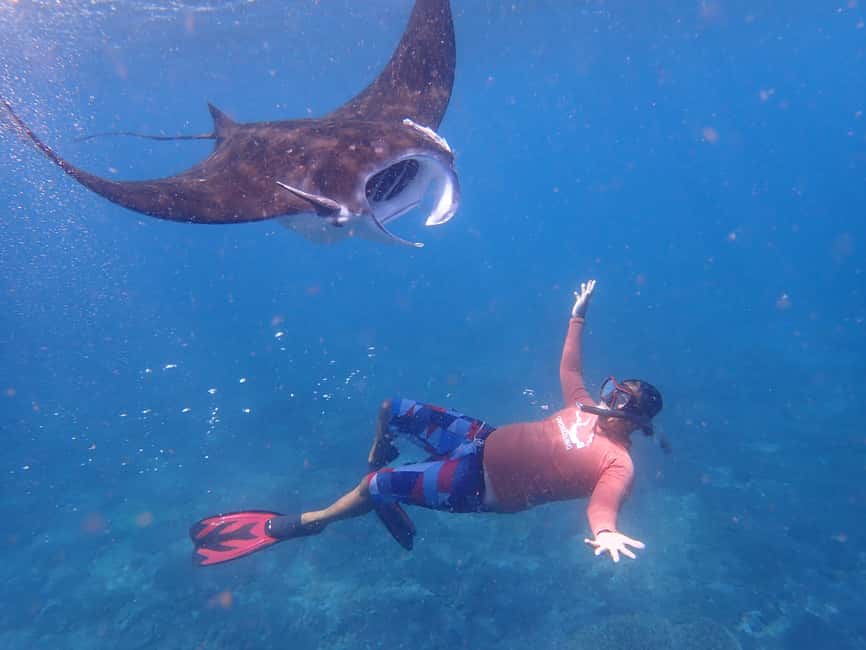 image n.6 of From Bali: 3 Snorkeling Spots Tour to Lembongan and Penida activity in Denpasar, uploaded by supplier