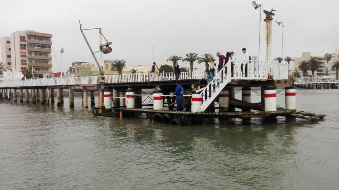 afbeelding n.15 van Vanuit Lima: Palomino-eilanden, zeeleeuwen zwemmen & jachttocht activiteit in Lima, geüpload door aanbieder