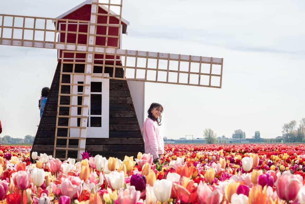 Obraz nr 11 z atrakcji Z Amsterdamu: Keukenhof Gardens & Tulip Experience Tour w Noordwijkerhout, przesłany przez organizatora