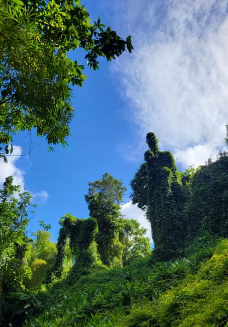 Obraz nr 26 z atrakcji Z San Juan: Wycieczka do lasu deszczowego El Yunque i kiosków Luquillo w Río Grande, Portoryko, przesłany przez organizatora