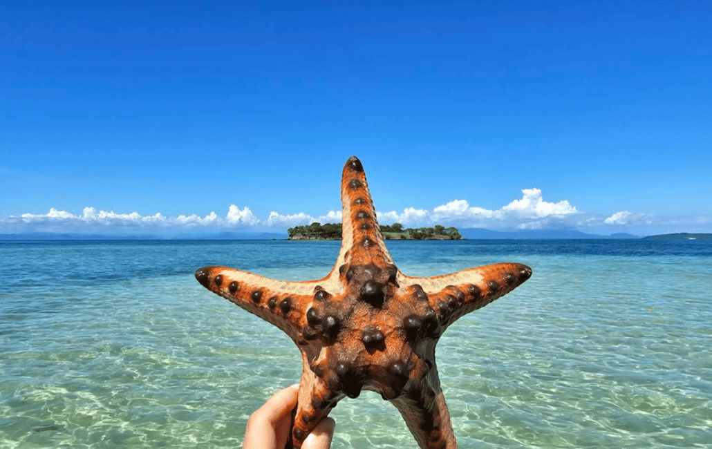 Obraz nr 18 z atrakcji Ekskluzywna jednodniowa wycieczka na różową plażę Lombok i 3 Gilis w Indonezja, przesłany przez organizatora