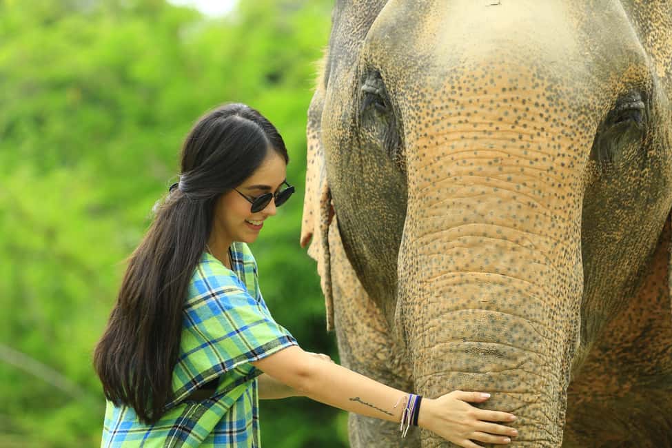 image n.13 of From Chiang Mai: Elephant Care Program and Nursery Tour activity in Chiang Mai, uploaded by supplier