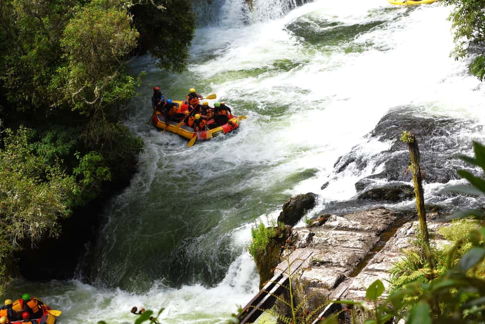 image n.29 of New Zealand: 9-Day Private Tour with 14-16 Activities activity in Matamata, uploaded by supplier