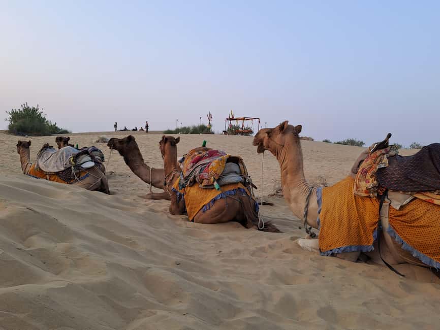 image n.29 of Desert Rose Jaisalmer: Luxury Tent In Thar Desert activity in Jaisalmer, uploaded by supplier