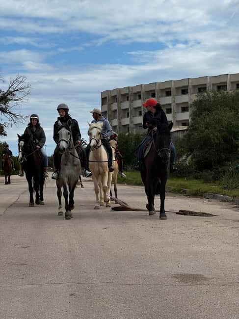 Image N°4 de Sousse/Monastir : excursion privée à cheval avec transfert activité à Monastir, publiée par le prestataire