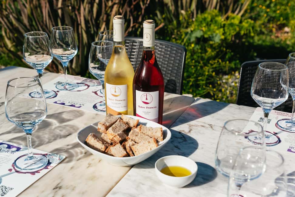 imagem n.5 de Loulé: Visita guiada e degustação de vinhos na Quinta da Tôr atividade em Loulé, carregada pelo fornecedor