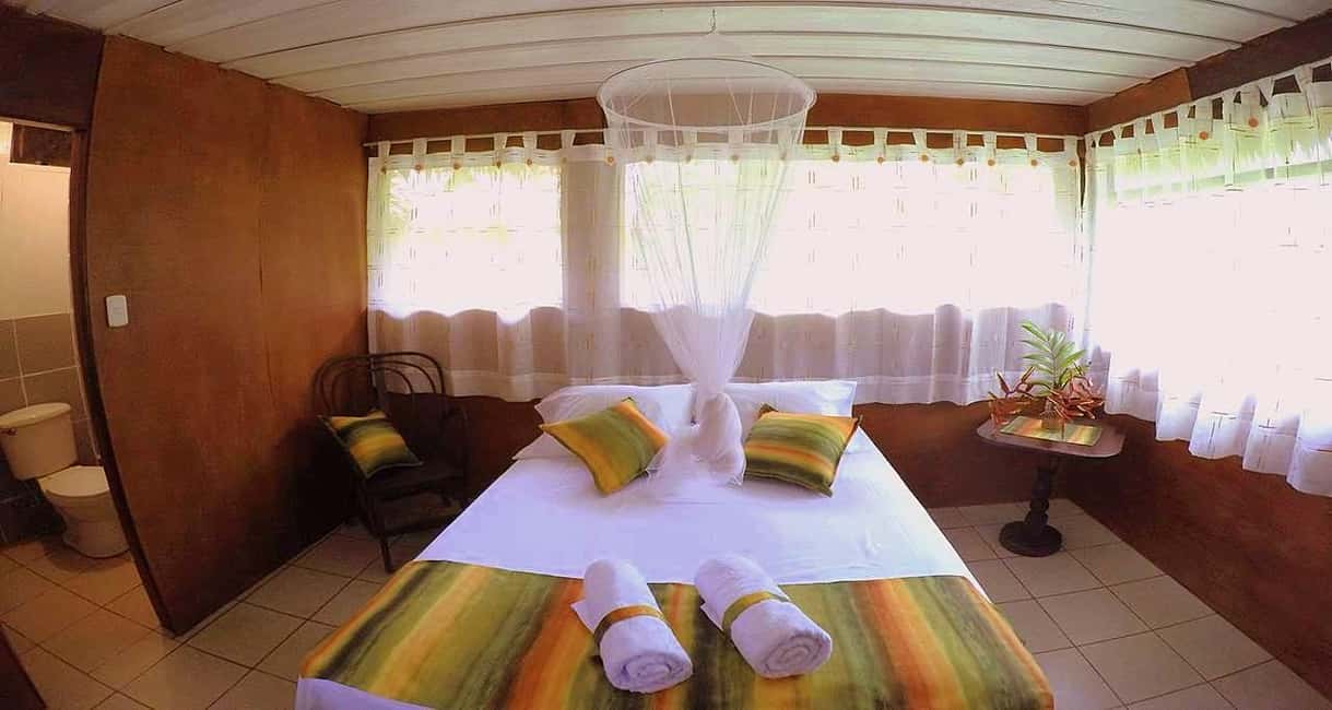 image n.15 of Iquitos: 3 Days and 2 Nights Guided Amazon Jungle Tour activity in Iquitos, uploaded by supplier