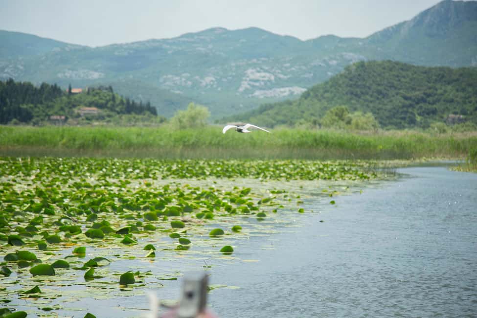 image n.4 of Virpazar: Historical & Nature Boat Adventure on Lake Skadar activity in Podgorica, uploaded by supplier