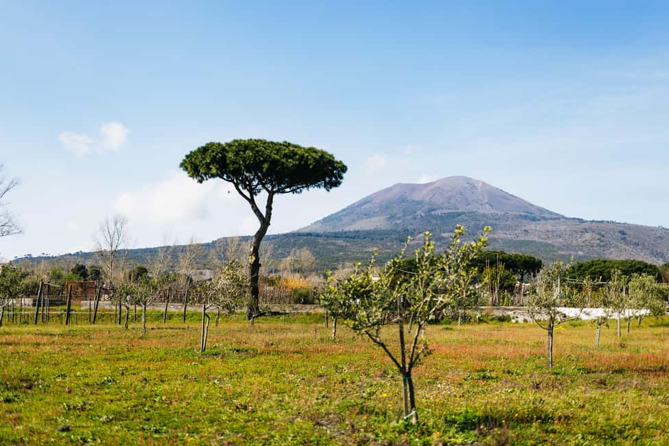 image n.20 of Naples: Pompeii and Herculaneum Tour with Tickets and Lunch activity in Ercolano, uploaded by supplier