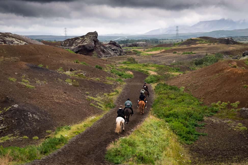 imagen n.º 6 de Reikiavik: Excursión a Caballo por la Lava Roja actividad en Reikiavik, subida por el proveedor