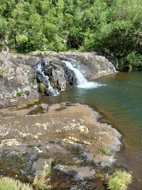 bild nr.5 av Tamarind Falls 7 Cascades Halvdagsvandring aktivitet i Tamarin, Mauritius, uppladdad av arrangören