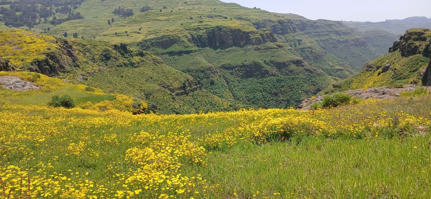 image n.34 of From Gondar: 2-Day Simien Mountains Trekking Tour activity in Gondar, uploaded by supplier