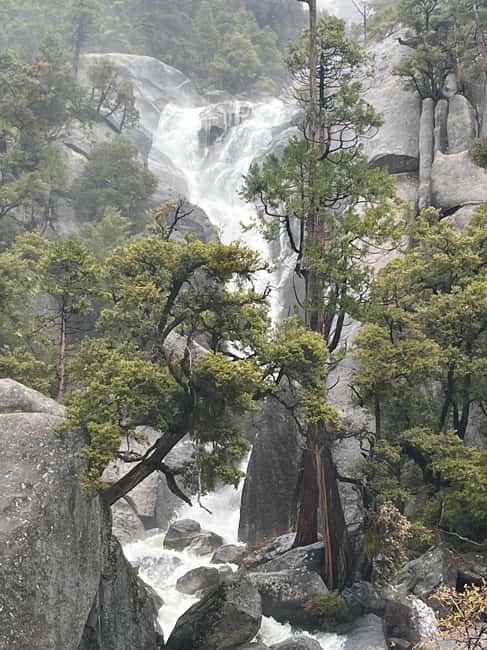 imagem n.17 de De SF: Passeio de um dia em Yosemite com caminhada e traslado de Sequoias Gigantes atividade em São Francisco, carregada pelo fornecedor