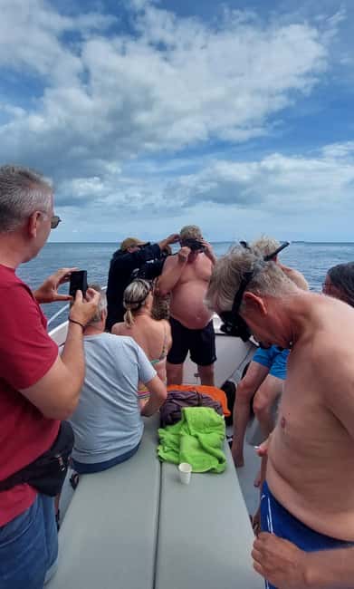 imagem n.45 de Sesimbra: Passeio de barco pelas baías e praias secretas com snorkeling atividade em Distrito de Lisboa, carregada pelo fornecedor