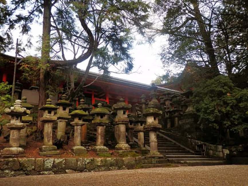 Immagine nº 29 di Da Tokyo: Tour di lusso di Nikko con guida in lingua inglese attività a Nikkō, caricata dal fornitore
