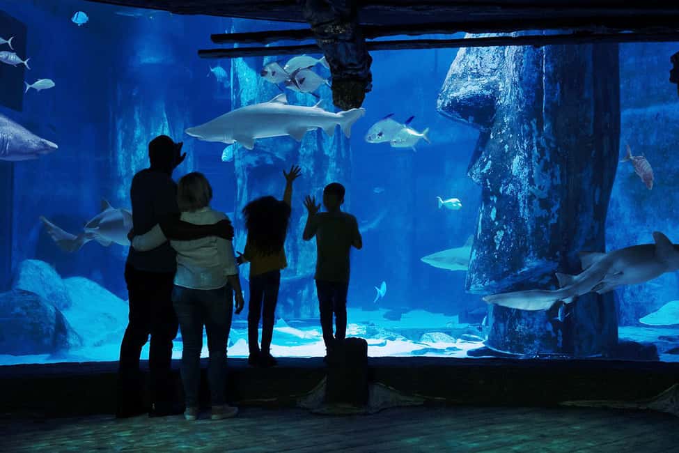 image n.10 of London: Madame Tussauds, London Eye & SEA LIFE Combo Ticket activity in London, uploaded by supplier